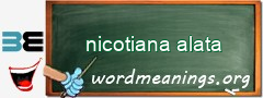 WordMeaning blackboard for nicotiana alata